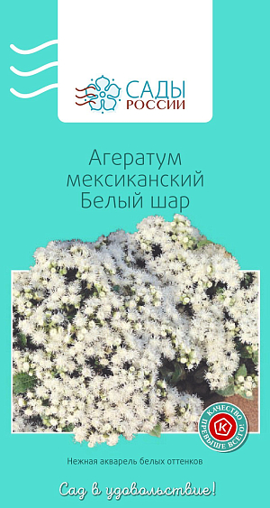 Агератум Белый шар

Агератум А. Хоустона, или агератум мексиканский, известный как долгоцветка. Цветки душистые. Соцветия плотные и пушистые, в диаметре 6–8 см. Не выносит самых легких заморозков. Всходы появляются через 10–14 дней после посева при поддержании температуры 20–22 ºС. Пикируют в горшочки через 3–4 недели после появления всходов.