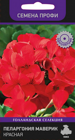 Семена Пеларгония Маверик красная.
Однолетнее растение, полукустарник, но может быть и травянистым. Имеет очень ветвистые, до 30 сантиметров в длину стебли. Листья имеет широкие, бархатистые, круглой формы, с перепонками. Красные цветки собраны в соцветие на стебле. Тоже покрыты бархатными волосками. Имеется только одно соцветие на верхушке одного стебелька. Любят свет, высокую температуру, предпочтительно сырую почву. 