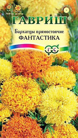 Семена Бархатцы Фантастика прямостоячие.
Уникальный сорт с исключительными по своей красоте и оригинальности соцветиями золотисто-желтого оттенка. 
Прямостоячий куст высотой 70-80 см, устойчив к непогоде и не полегает. 
Первые соцветия появляются на растениях уже в июне и цветение продолжается до заморозков. 
Смесь особенно рекомендуется для создания высоких рабаток, бордюров и срезки. 
Бархатцы светолюбивы и теплолюбивы, заморозков не переносят, к почвам нетребовательны, но предпочитают плодородные легкие почвы.
Посев на рассаду проводят во второй половине марта-начале апреля. Всходы появляются через 4-8 дней после посева, сеянцы пикируют в фазе 2-го настоящего листа. 
Рассаду высаживают в начале июня с расстоянием между растениями 30-35 см. 
Посев в открытый грунт проводят в мае на глубину 1,5-2 см.