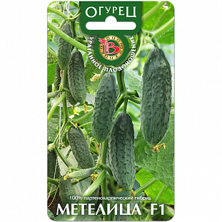 Семена Огурец Метелица F1