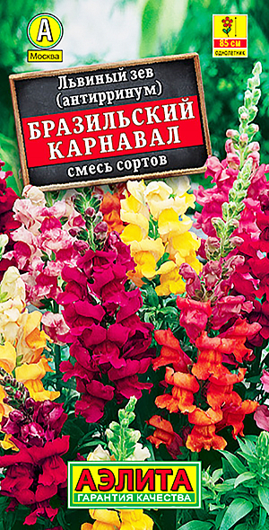 Семена Львиный зев Бразильский карнавал смесь окрасок.
Высокорослая (75-85 см) смесь с обильным, продолжительным цветением. Кусты пирамидальные, мощные, с множеством цветоносов. Крупные ароматные цветки ø 3-4 см собраны в кистевидные соцветия. Растения неприхотливые, холодостойкие, используются для групповых и одиночных посадок на клумбах, в рабатках и миксбордерах. Отлично подходят для срезки, в воде распускаются все бутоны.
Агротехника. Выращивают через рассаду. Семена высевают поверхностно, без заделки, увлажняют из распылителя и накрывают стеклом для поддержания постоянной влажности 
до всходов. В фазе одной пары настоящих листьев сеянцы пикируют. В фазе 4-5 пар листьев проводят формирующую прищипку. Высадку рассады в открытый грунт проводят 
со второй половины мая. Посадки размещают на солнечных участках с плодородными, дренированными почвами.