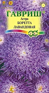 Семена Астра Боретта лавандовая