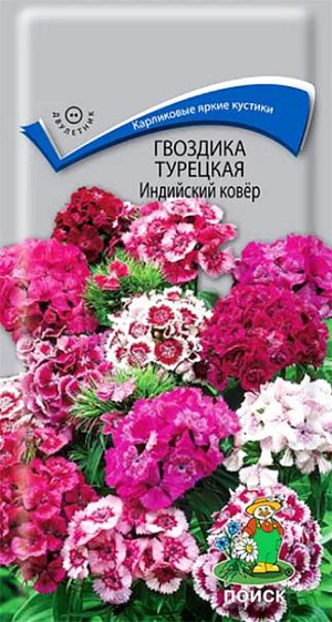 Семена&nbsp;Гвоздика Турецкая Индийский ковёр.&nbsp;&nbsp;Кустик высотой 25 см. Листья линейно-ланцетные, зеленые. К концу 1-го года выращивания образуется розетка прикорневых листьев. На следующий год растения цветут с конца июня в течение месяца. Используют для сборных цветников, рабаток и для срезки.<br>
 <br>
&nbsp;Агротехника.&nbsp;Растение холодо- и засухоустойчивое, предпочитает солнечное место, но может расти и в полутени. Хорошо растёт на плодородных дренированных почвах. Посев семян производят в мае-июне в открытый грунт на разводочные гряды, слегка присыпав их влажным песком. При температуре почвы +18-20°C всходы появляются через 10-14 дней. На постоянное место рассаду высаживают в августе, выдерживая расстояние между растениями 25-30 см