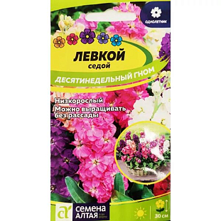 Семена Левкой Гном седой десятинедельный