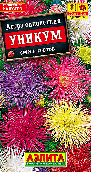 Семена Астра Уникум смесь окрасок.
Куст широкораскидистый, ветвистый, высотой растения 70 см. Соцветия плоской формы, махровые, очень изящные, 16 см в диаметре, чуть поникающие. Лепестки язычковых цветков ленточные, узкие. Используется на срезку.
Агротехника. Выращивают рассадным способом. С развитием первой пары настоящих листочков сеянцы пикируют. На постоянное место рассаду высаживают в возрасте 30-35 дней. Возможен посев семян в открытый грунт весной или под зиму, в конце октября. Растениям необходимы регулярные поливы, прополки, рыхления и подкормки.