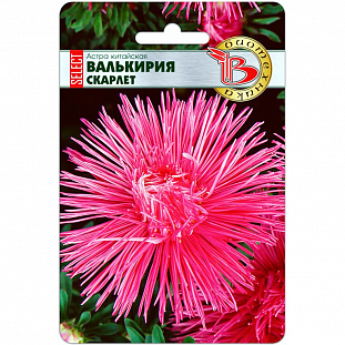 Семена Астра китайская Валькирия Скарлет