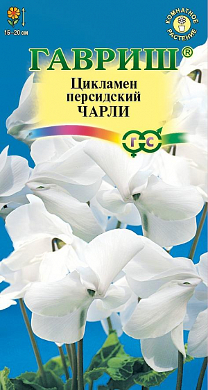 Семена Цикламен Чарли.<br>
 <br>
 &nbsp;Многолетнее клубневое растение семейства Первоцветные. Цветки очень ароматные, цветонос достигает длины 15 -20 см. Цветет с поздней осени до конца апреля, летом находится в состоянии покоя. Оптимальный срок посева конец августа. Семена перед посевом замачивают на сутки в теплой воде, а затем высевают в горшки с листовой и торфяной землей(1:1).Сверху семена присыпают слоем земли 0,5-1 см., обильно поливают, накрывают темной пленкой. При t 20°C всходы появляются через 30-40 дней. После появления всходов притенение снимают, температуру снижают до 15-17 °C. Когда образуются маленькие клубеньки с двумя листочками, пикируют в ящики со смесью из листовой, торфяной земли и песка (2:1:0,5). При пересадках у молодых растений верх клубенька должен находиться у самой поверхности почвы (не глубже 0,5 см.). У взрослых растений верх клубня обычно открыт. В период покоя сбрасывает листья.<br>
 <br>
 &nbsp;Выращивают на северных и восточных окнах, на южном притеняют от прямых солнечных лучей. Зимой содержат на светлом месте при температуре не выше 8 - 10 градусов. Летом необходимо выполнять приемы по поддержке роста растений: поливать исключительно через поддон, опрыскивать водой комнатной температуры, удобрять. Удобряют не более 2-3 раз за лето, преимущественно азотно-калийными удобрениями.<br>
