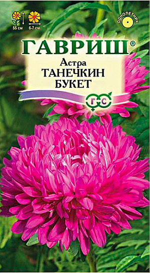 Семена Астра Танечкин букет <br>
 <br>
 Растение пирамидальное, сомкнутое, высотой до 55 см, диаметром 17 см. Соцветия язычкового типа, махровые, карминно-красной окраски. Для выращивания подходят хорошо освещенные участки с плодородной суглинистой или супесчаной почвой. Астры обладают высокой холодостойкостью – хорошо переносят заморозки до -3-4°C. Выращивают, чаще всего, рассадным способом. Используются для получения срезки и оформления участка.<br>