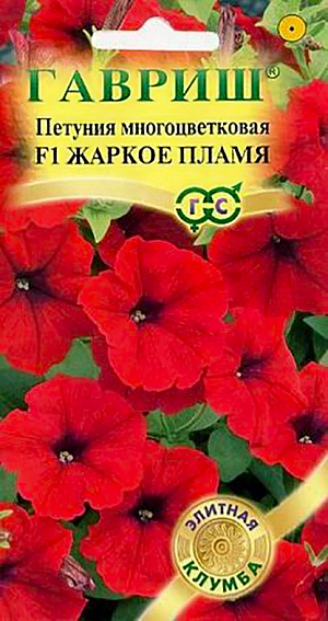 Семена Петуния Жаркое пламя многоцветковая F1.
Роскошное однолетнее растение с высокой устойчивостью к стресс- факторам. Эта гибридная форма петунии имеет компактный кустик до 30-35 см. Цветки широковорончатые, ярко-пламенно-красные, до 5,5-6,5 см в диаметре, с прочной фактурой, не страдают во время дождей. Посев проводят в марте. Всходы появляются через 7-12 дней. На постоянное место высаживают, когда минует опасность заморозков. Светолюбива и достаточно засухоустойчива. Предпочитает легкие, плодородные, хорошо дренированные почвы. Украсит контейнеры, вазы, подоконники, рабатки, бордюры. Используется как фоновая и балконная культура.