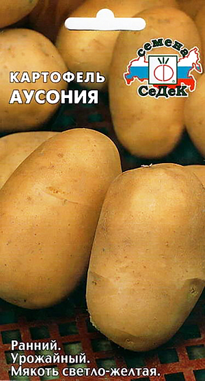 Семена Картофель Аусония