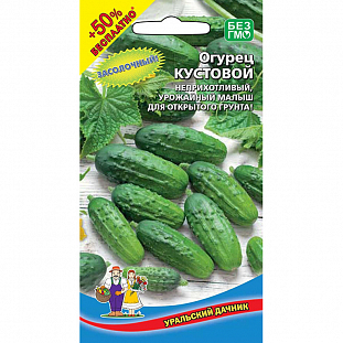 Семена Огурец Кустовой