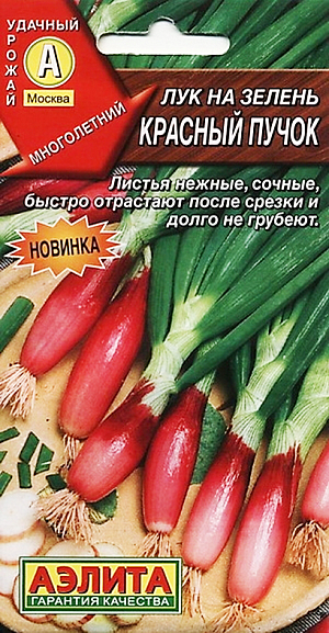 Семена Лук на зелень Красный пучок