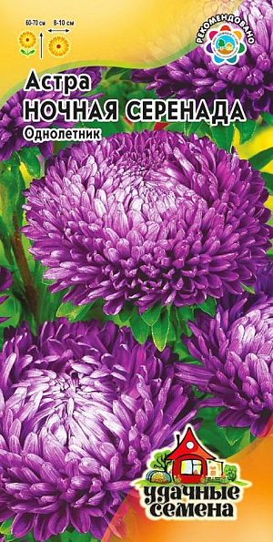 Семена Астра Ночная Серенада.
Сорт с обильным цветением. Растения колонновидные, мощные, высотой 60-70 см, с прочными цветоносами. 
Соцветия пионовидные, фиолетовые, диаметром 8-10 см. Цветет с начала августа до заморозков. 
Предпочитает хорошо освещенные, защищенные от ветра участки с плодородной суглинистой или супесчаной почвой. 
Выращивают, чаще всего, рассадным способом. 
Семена высевают в марте-апреле, пикируют с развитием первой пары настоящих листочков по схеме 5х5 см, 
в открытый грунт рассаду высаживают с середины мая до начала июня. 
Возможен подзимний посев астр: в конце октября на глубину 5-8 см.
Сверху посевы мульчируют торфом или опилками на высоту 3-5 см. 
Весной (в конце марта-начале апреля) посевы раскрывают. 
Появившиеся в конце апреля всходы будут закаленными, а выросшие растения сильными, устойчивыми к заморозкам и обильно цвести. 
Используются для получения срезки и оформления цветников, в групповых и одиночных посадках.