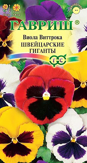 Семена Виола Швейцарские Гиганты Виттрока.
Неприхотливое популярное растение из семейства Фиалковые высотой 15 см. Цветет обильно и продолжительно с мая по сентябрь. 
Цветки крупные, 5-6 см в диаметре, разнообразной окраски. Влаголюбива, холодостойка, хорошо растет на солнце и в полутени.
Для получения растений, цветущих в год посева, семена высевают на рассаду в феврале-марте. Всходы появляются через 5-7 дней. 
В открытый грунт рассаду высаживают в конце апреля-начале мая на расстоянии 20 см. 
Растения хорошо переносят пересадку в цветущем состоянии. При посеве в открытый грунт в июне-июле, цветение наступает во второй год.
Используют для посадки на клумбы, рабатки, в балконные ящики и садовые вазы.