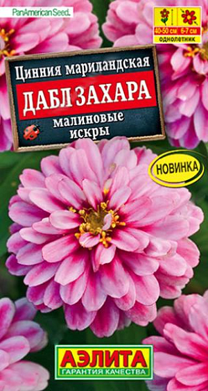 Семена Цинния Дабл Захара малиновые искры. 100% махровая! Роскошная цинния от американской компании PanAmerican Seed. Компактное растение, высотой 40-50 см, дает ошеломляющее количество ярких полностью махровых цветов&nbsp; &nbsp;6-7 см. Соцветия долго сохраняют декоративность на растении, не боятся любых погодных условий. Серия цинний Дабл Захара рекомендуется для выращивания в клумбах, рабатках, в контейнерах и кашпо.<br>
 Циннии – растения теплолюбивые, быстрорастущие, относительно засухоустойчивые. Предпочитают солнечные участки с дренированными почвами среднего плодородия, нейтральной кислотности. В южных регионах возможен безрассадный способ выращивания.<br>