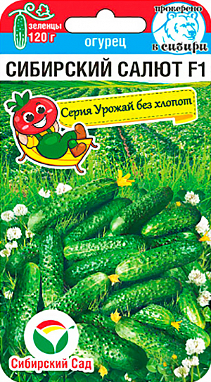 Семена Огурец Сибирский салют