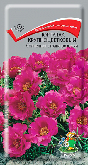 Семена Портулак Солнечная страна розовый крупноцветковый.
Великолепный цветочный ковер. Многолетнее растение, используемое как однолетнее. Образует кустик высотой 10 см. Розовые, похожие на розочки, махровые цветы, диаметром 3-4 см. Цветет с июня до заморозков. 
Агротехника. Растение предпочитает солнечные места и легкие супесчаные почвы. При выращивании рассады посевы проводят в марте. Семена слегка вдавливают в почву, землей не присыпают. Посадочную емкость накрывают стеклом и ставят в освещенное место. При температуре почвы +18°C всходы появляются на 7-14 день. Сеянцы содержат при умеренной температуре, избегая переувлажнения почвы. Рассаду высаживают в конце мая. Семена соответствуют требованиям международных стандартов и ГОСТу РФ 12260-81