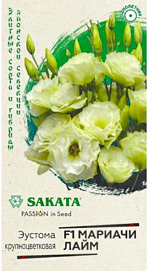 Семена Эустома Мариачи лайм F1.<br>
 <br>
 Роскошное и очень нежное однолетнее растение из семейства Горечавковые. Стебли высотой 80-100 см, сильные, прочные, способные выдержать крупные (до 7 см), супермахровые салатово-желтые цветки похожие на розочки. Предпочитает солнечные места, окультуренную почву, регулярные поливы и опрыскивания. Для получения цветущих растений в июле — августе посевы производят в конце февраля — начале марта. <br>
 <br>
Семена мелкие, их не присыпают, оставляя на поверхности субстрата, увлажняют из распылителя и накрывают стеклом. 
Всходы появляются через 10-15 дней при температуре +20-21оС. Необходим свет. Сеянцы пикируют в стадии 2-3-х настоящих листьев в отдельные горшки. В грунт высаживают, когда минует угроза заморозков.
 Используют для украшения клумб, рабаток, бордюров и срезки.
