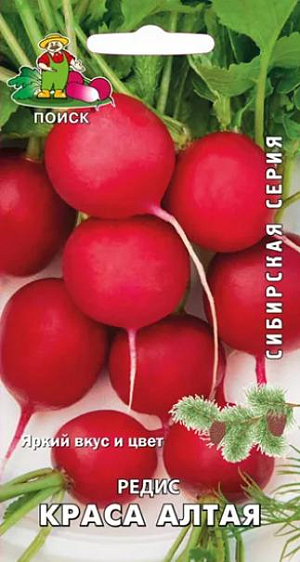 Семена Редис Краса Алтая