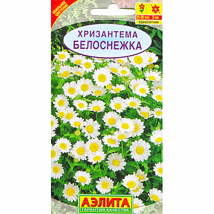 Семена Хризантема Белоснежка