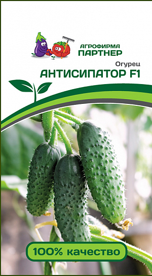 Семена Огурец Антисипатор F1