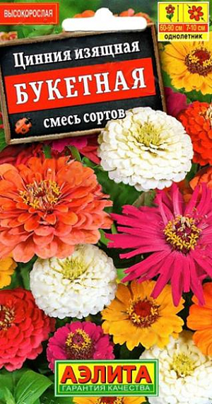 Семена Цинния Букетная смесь сортов.
Яркая, обильноцветущая смесь популярного быстрорастущего однолетнего растения. В её состав входят различные по высоте циннии (от 40 до 90 см в высоту) с разнообразными расцветками и формами соцветий-корзинок. Цветение раннее и продолжительное. Растения теплолюбивые, засухоустойчивые, предпочитают солнечные места, хорошо переносят воздействие непогоды. Для продления цветения отцветшие корзинки удаляют. Используются на клумбах, в рабатках и цветниках, великолепно смотрятся в групповой посадке. Отличный материал для срезки. Агротехника. Выращивают рассадным способом. С развитием первой пары настоящих листочков сеянцы пикируют. В фазе 5-6 листьев проводят формирующую прищипку. Рассаду высаживают в открытый грунт, когда минует опасность заморозков. Растениям необходимы регулярные поливы, прополки, рыхления и подкормки. Возможен посев семян в открытый грунт на глубину 1 см