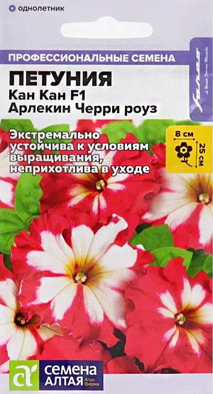 Семена Петуния Кан Кан Арлекин Черри роуз крупноцветковая F1.<br>
 <br>
 Новая превосходная крупноцветковая петуния с бархатными кружевными цветами. Компактные растения высотой до 25 см. с яркими, похожими на звезды цветками красно-белой окраски диаметром 8-10 см. Устойчива к неблагоприятным погодным условиям. Незаменима для оформления клумб, рабаток, а так же балконных ящиков, подвесных корзин и кашпо.<br>
 <br>
Семена на рассаду сеют с конца февраля, не заделывая землей, а просто накрывая ящики стеклом. Пока всходы мелкие, их лучше не поливать, а опрыскивать и давать подсветку. На открытом воздухе продолжают выращивание с конца мая. Возможно сохранение растений в зимний период в комнатных условиях.