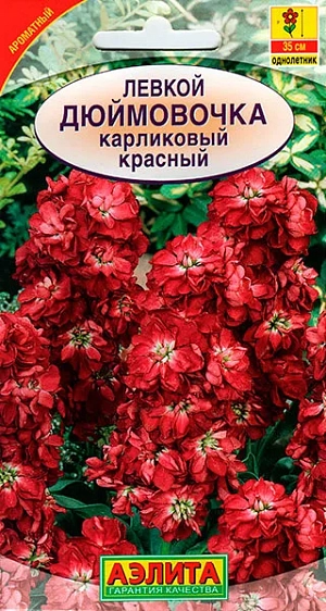 Семена Левкой.

Одного растение - это целый букет из 5-10 соцветий. Цветки крупные, махровые, разнообразной окраски, ароматные, собраны в соцветия. Цветет в июне-сентябре. Предпочитает хорошо освещенные участки с рыхлой, дренированной, удобренной почвой. В открытый грунт семена высевают в конце апреля - начале мая с последующим прореживанием. Выращивают в миксбордерах, групповых посадках. Для срезки используют соцветия, раскрывшиеся на 2/3. Они стоят в воде до 10 дней, наполняя ароматом помещение.