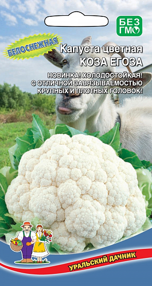 Семена Капуста цветная Коза Егоза