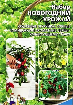 Семена Набор "Новогодний Урожай"