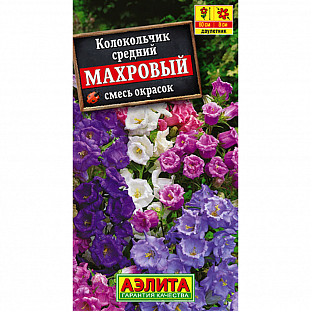 Колокольчик средний Махровый, смесь сортов