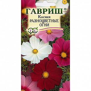 Космея Разноцветные огни Космея Разноцветные огни