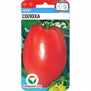 Семена Томат Солоха