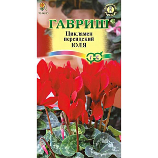 Семена Цикламен Юля персидский