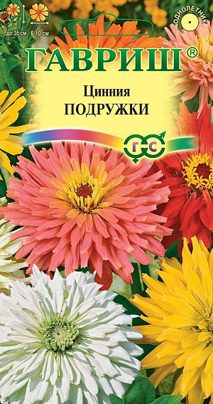 Семена Цинния Подружки.
Очаровательная смесь миниатюрных кактусовидных цинний для озеленения сада, балкона, контейнеров. 
Образует компактный кустик, высотой 35 см, с прочными, ветвящимися цветоносами. Обильно и продолжительно цветет с июня по сенятбрь.
Соцветия разнообразных оттенков, диаметром 6-10 см. Циннии светолюбивы, засухоустойчивы и теплолюбивы; отзывчивы на полив, без длительного полива снижается интенсивность цветения и уменьшается размер соцветий. Выращивают рассадным способом. Семена высевают в апреле. Всходы появляются через 4-6 дней.
В начале июня растения высаживают на расстоянии 20 см. Для большей кустистости растения прищипывают