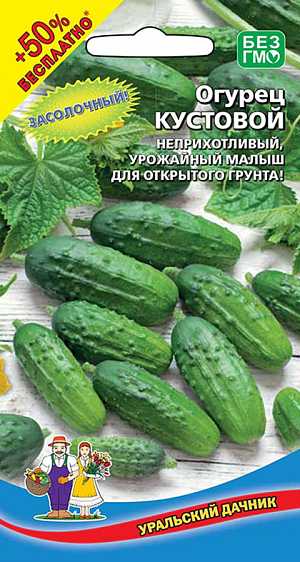 Семена Огурец Кустовой