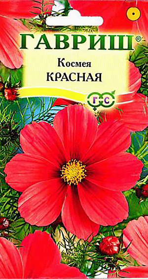Семена Космея Красная.
Травянистое однолетнее растение. Стебли густоветвистые, прямостоячие, 80-150 см высотой. 
Листья дважды перисто-рассеченные на нитевидные доли, что придает всему растению ажурный вид. 
Цветки красного цвета 10-12 см в диаметре. Цветет обильно с середины июня по сентябрь. 
Дает обильный самосев. Холодостойка и светолюбива, относительно засухоустойчива. 
К почвам нетребовательна, предпочитает рыхлые, умеренно плодородные почвы. 
Выращивают прямым посевом в грунт в конце апреля-начале мая, либо под зиму. 
Используется для посадки на клумбах, в миксбордерах для декорирования оград и стен зданий.