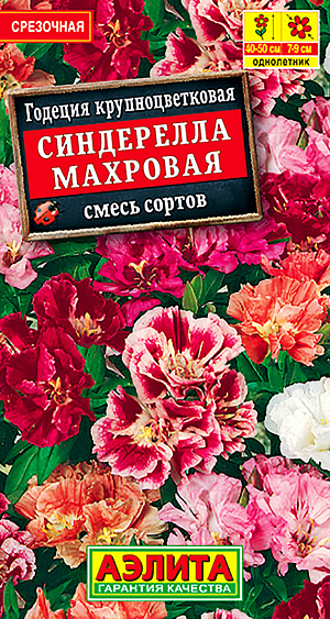 Семена Годеция Синдерелла смесь окрасок.
Цветущий куст годеции Синдерелла напоминает шикарный букет. Это изящное, стройное растение, до 60 см высотой, с густой листвой и крупными, ø 7-9 см, махровыми цветками с шелковистым блеском. Без труда впишется в любой садовый ансамбль, – украсит рабатки, клумбы, миксбордеры. Отлично смотрится в отдельных групповых посадках. Можно выращивать в уличных контейнерах, подходит для срезки в букеты. 
Агротехника. Посев на рассаду в начале апреля ускорит цветение примерно на месяц. Всходы прореживают. Рассаду высаживают в открытый грунт, не дожидаясь окончания сроков возвратных холодов.