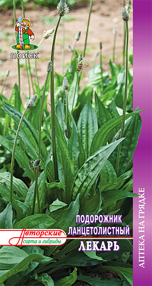 Семена Подорожник ланцетолистный Лекарь