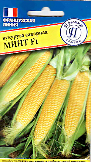 Семена Кукуруза Минт F1