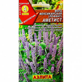Семена Мята мексиканская Аметист