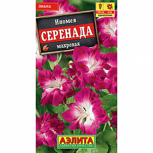 Семена Ипомея Серенада