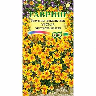 Семена Бархатцы Урсула золотисто-желтая тонколистные