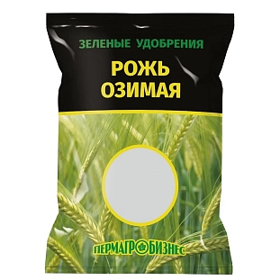 Рожь