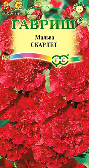 Семена Мальва Скарлет.
Многолетнее растение из семейства Мальвовых, культивируемое как двулетник, высотой до 2-2,5 м. Цветет с конца июня по сентябрь.
Цветки махровые темно-красные, 8-12 см в диаметре, собраны в крупное эффектное соцветие-кисть. 
Светолюбива и засухоустойчива, к почвам нетребовательна, но предпочитает участки с хорошо обработанной плодородной почвой.
На зиму желательно укрывать. Выращивают прямым посевом в открытый грунт в мае. Можно сеять во второй половине лета. В этом случае растения зацветут на следующий год. 
Используется для посадки в группах, миксбордерах, для декорирования стен зданий и изгородей, а также для получения срезки.