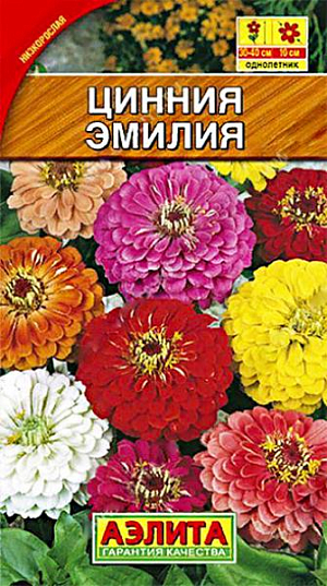 Семена Цинния Эмилия смесь окрасок.
Яркая смесь низкорослых, обильно цветущих цинний. Формирует хорошо разветвленные, аккуратные кусты высотой 30-40 см. Особенность смеси – сочетание компактности растений и крупных махровых соцветий диаметром до 10 см. Окраска соцветий не выгорает на солнце. Растения свето- и теплолюбивые, относительно засухоустойчивые. Используются для оформления клумб, рабаток, бордюров, садовых и балконных контейнеров. Агротехника. Выращивают рассадным способом. С развитием первой пары настоящих листочков сеянцы пикируют. В фазе 5-6 листьев проводят формирующую прищипку. Рассаду высаживают в открытый грунт, когда минует опасность заморозков. Растениям необходимы регулярные поливы, прополки, рыхления и подкормки. Возможен посев семян в открытый грунт на глубину 1 см. 