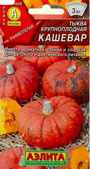 Семена Тыква крупноплодная Кашевар