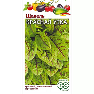 Щавель Красная утка Щавель Красная утка