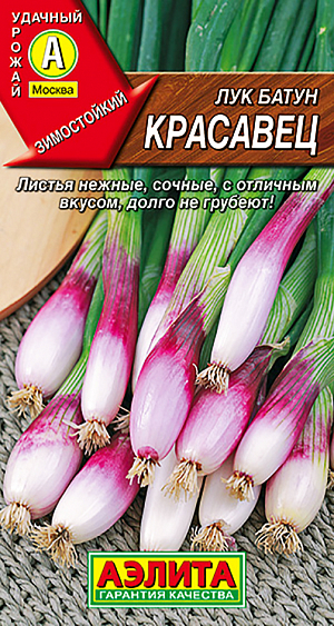 Семена Лук батун Красавец