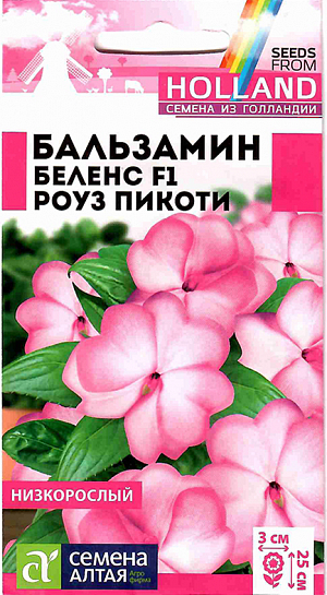 <p style="text-align: justify;">
 Семена Бальзамин Беленс F1 Роуз пикоти.
</p>
<p style="text-align: justify;">
 Многолетнее компактное растение, идеально подходящее для выращивания в горшечной, контейнерной культуре, в открытом грунте выращивается, как летник. Высота растения в горшке 15-20 см, в открытом грунте – 20-25 см. Ширина кустика 25-30 см. На сочных мясистых стеблях расположены удлиненно-эллиптические листья приятной зеленой окраски. Очаровательные простые цветки достаточно крупные, в диаметре 2-3 см. В помещениях цветет весь год при температуре не ниже +16°С. Широко используют для украшения клумб, цветников, рабаток, бордюров, подвесных корзин, контейнеров, вазонов. Растение теплолюбивое, в открытом грунте при наступлении холодных ночей увядает. Предпочитает слегка затененные места в саду или комнате. Не выносит переувлажнения. Посевы на рассаду проводят в конце февраля - марте. Подойдет любая хорошо дренированная почва.
</p>